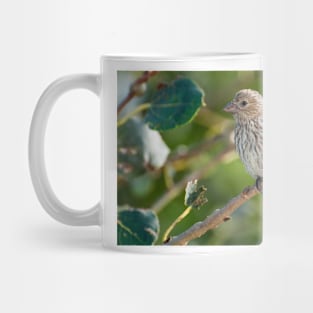 Morning Companion Mug